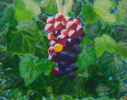 Painting: Grapes