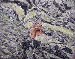 Painting: Marmot