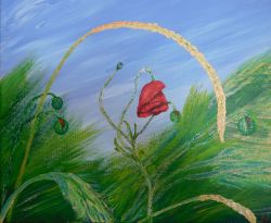 Painting: Poppy