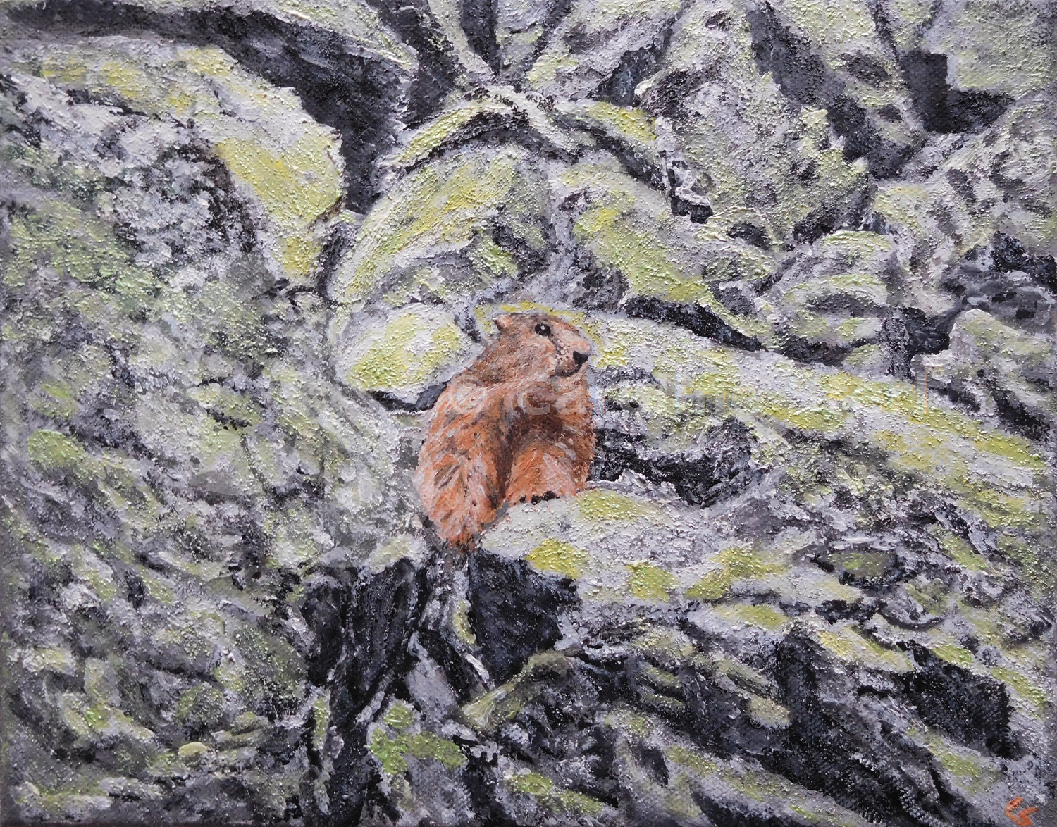 Painting: Marmot