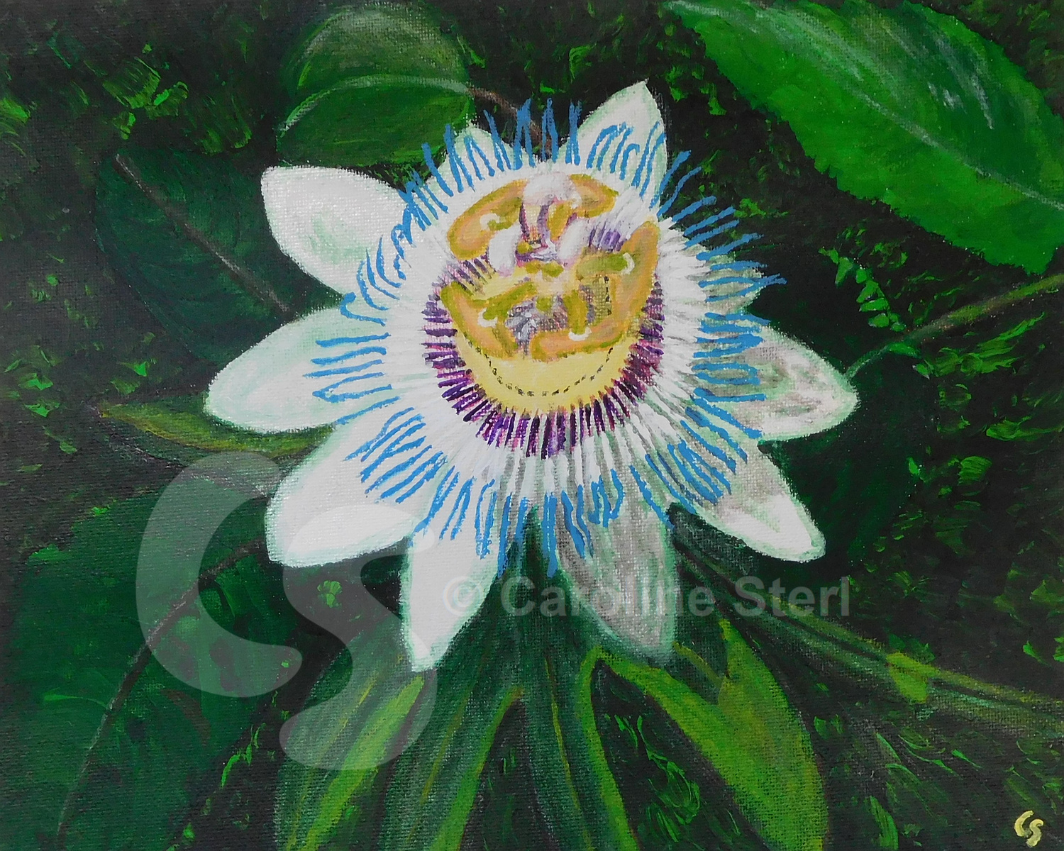 Painting: Passionflower
