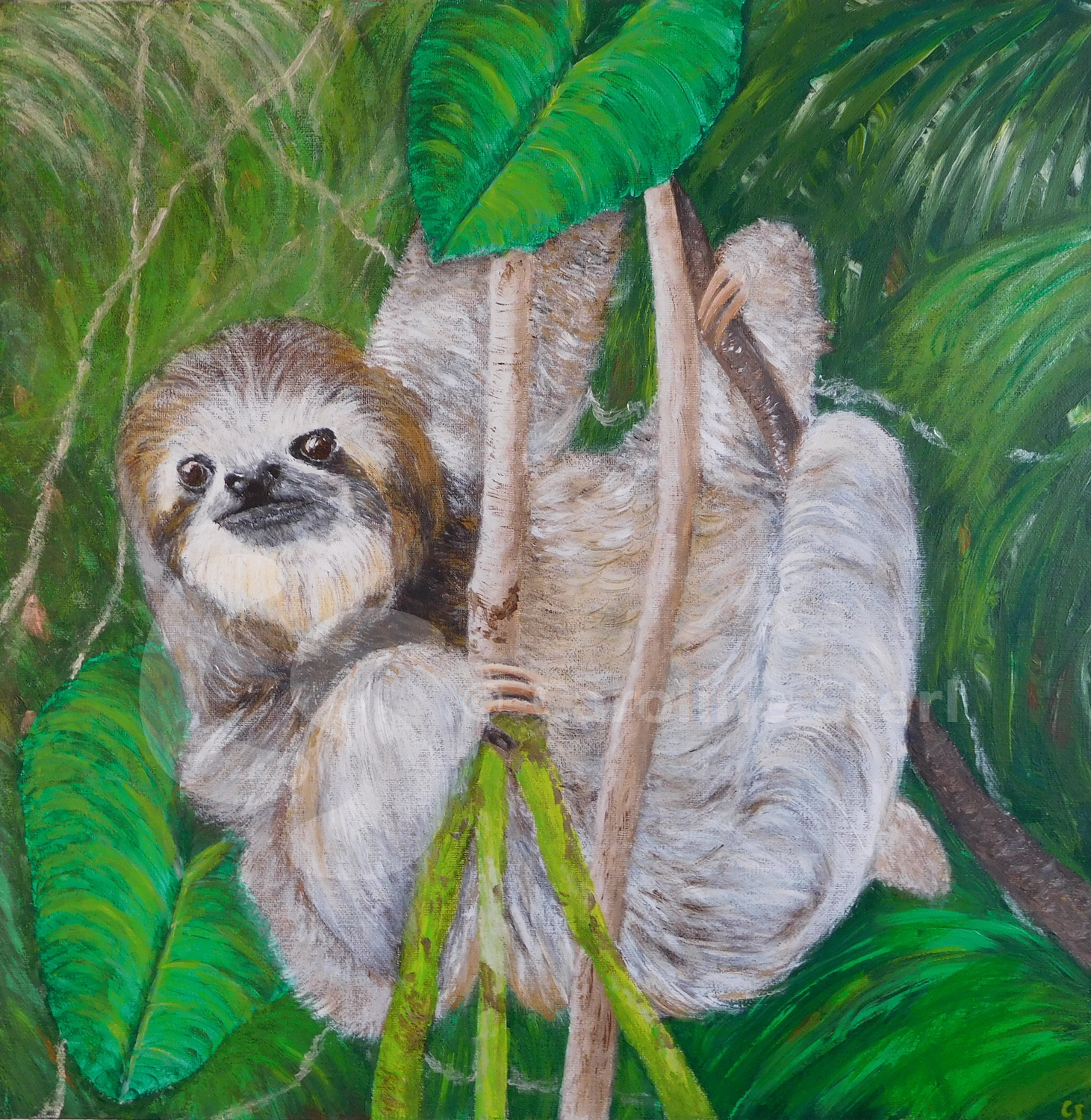 Painting: Sloth